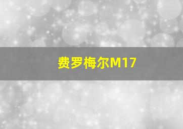 费罗梅尔M17