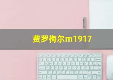 费罗梅尔m1917