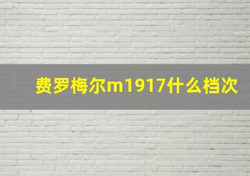 费罗梅尔m1917什么档次