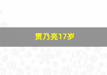 贾乃亮17岁