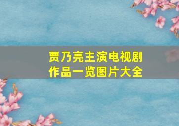 贾乃亮主演电视剧作品一览图片大全