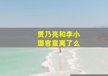 贾乃亮和李小璐官宣离了么