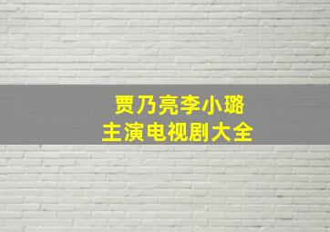 贾乃亮李小璐主演电视剧大全