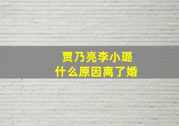 贾乃亮李小璐什么原因离了婚