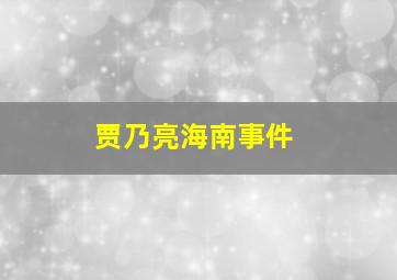 贾乃亮海南事件