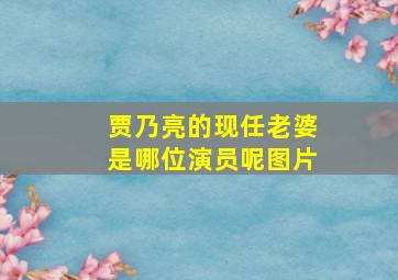 贾乃亮的现任老婆是哪位演员呢图片