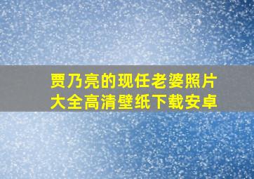 贾乃亮的现任老婆照片大全高清壁纸下载安卓