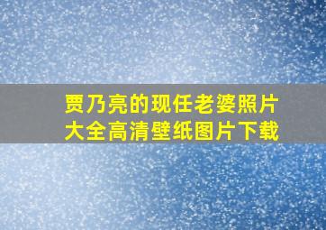 贾乃亮的现任老婆照片大全高清壁纸图片下载