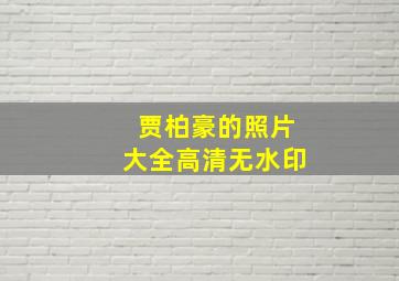 贾柏豪的照片大全高清无水印