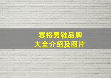 赛格男鞋品牌大全介绍及图片