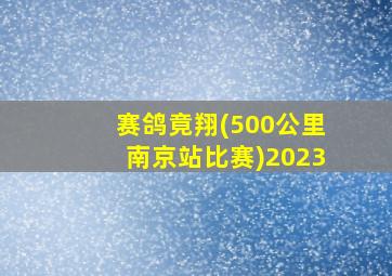 赛鸽竟翔(500公里南京站比赛)2023