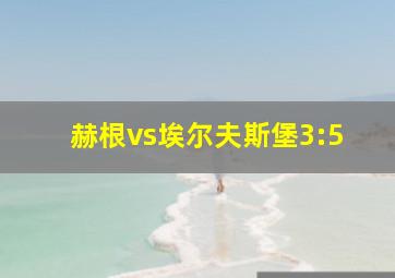 赫根vs埃尔夫斯堡3:5