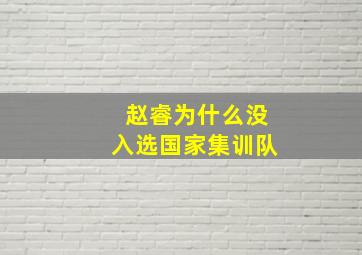 赵睿为什么没入选国家集训队