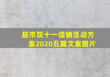 超市双十一促销活动方案2020五篇文案图片