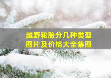 越野轮胎分几种类型图片及价格大全集图