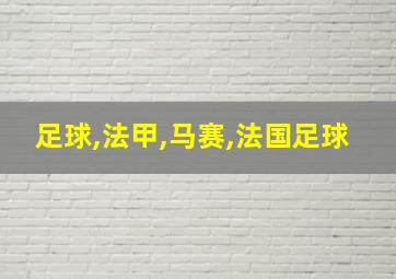 足球,法甲,马赛,法国足球