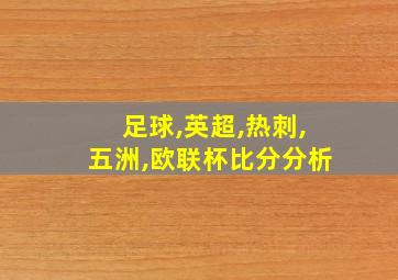 足球,英超,热刺,五洲,欧联杯比分分析