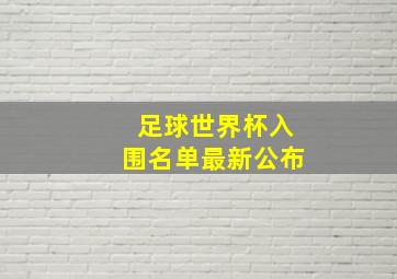 足球世界杯入围名单最新公布