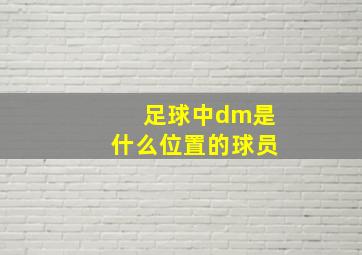 足球中dm是什么位置的球员