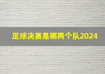 足球决赛是哪两个队2024