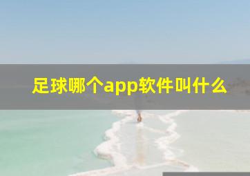 足球哪个app软件叫什么