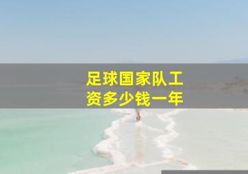 足球国家队工资多少钱一年