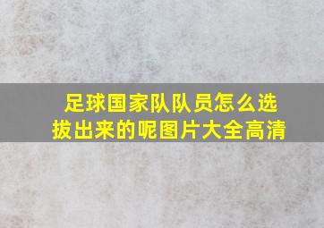 足球国家队队员怎么选拔出来的呢图片大全高清