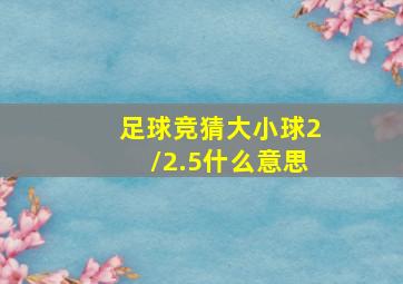 足球竞猜大小球2/2.5什么意思