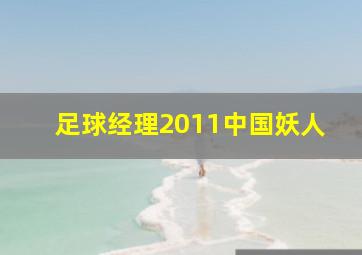 足球经理2011中国妖人