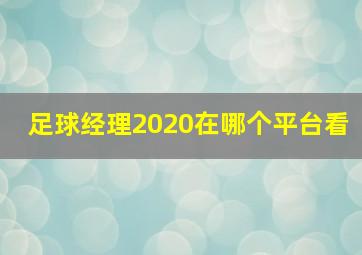 足球经理2020在哪个平台看