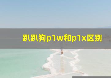 趴趴狗p1w和p1x区别