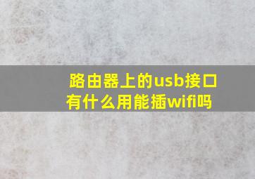 路由器上的usb接口有什么用能插wifi吗