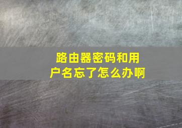 路由器密码和用户名忘了怎么办啊