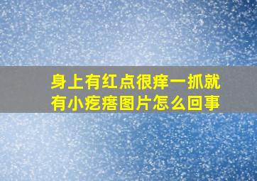 身上有红点很痒一抓就有小疙瘩图片怎么回事