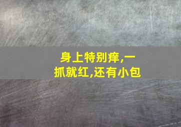 身上特别痒,一抓就红,还有小包