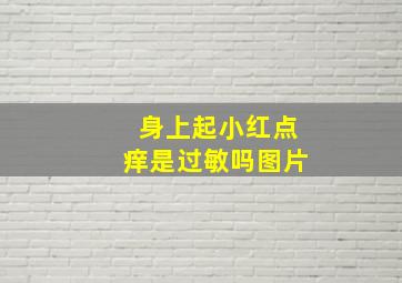 身上起小红点痒是过敏吗图片