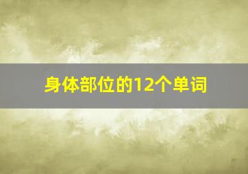 身体部位的12个单词