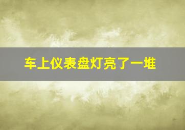 车上仪表盘灯亮了一堆