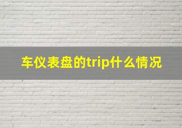 车仪表盘的trip什么情况