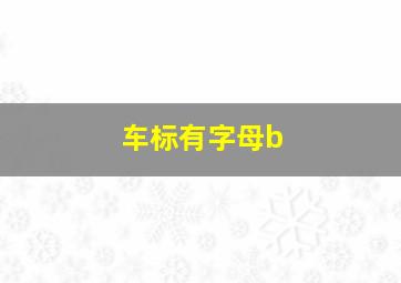 车标有字母b