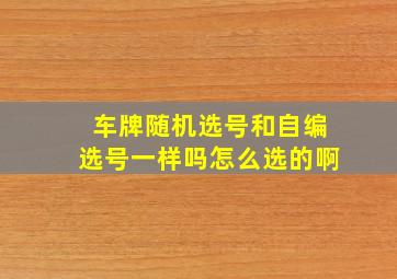 车牌随机选号和自编选号一样吗怎么选的啊