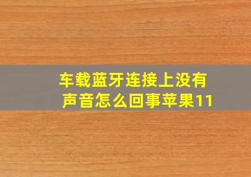 车载蓝牙连接上没有声音怎么回事苹果11