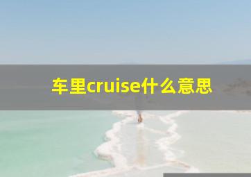 车里cruise什么意思