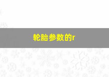 轮胎参数的r