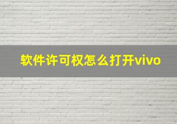 软件许可权怎么打开vivo