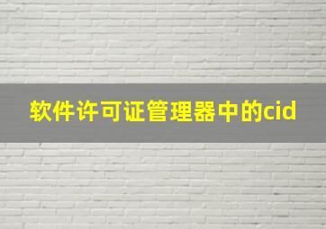 软件许可证管理器中的cid