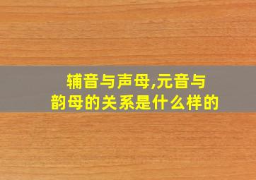 辅音与声母,元音与韵母的关系是什么样的