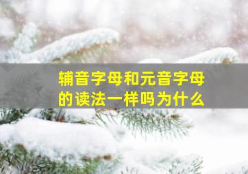 辅音字母和元音字母的读法一样吗为什么