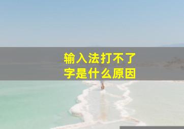 输入法打不了字是什么原因