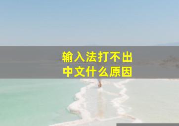 输入法打不出中文什么原因